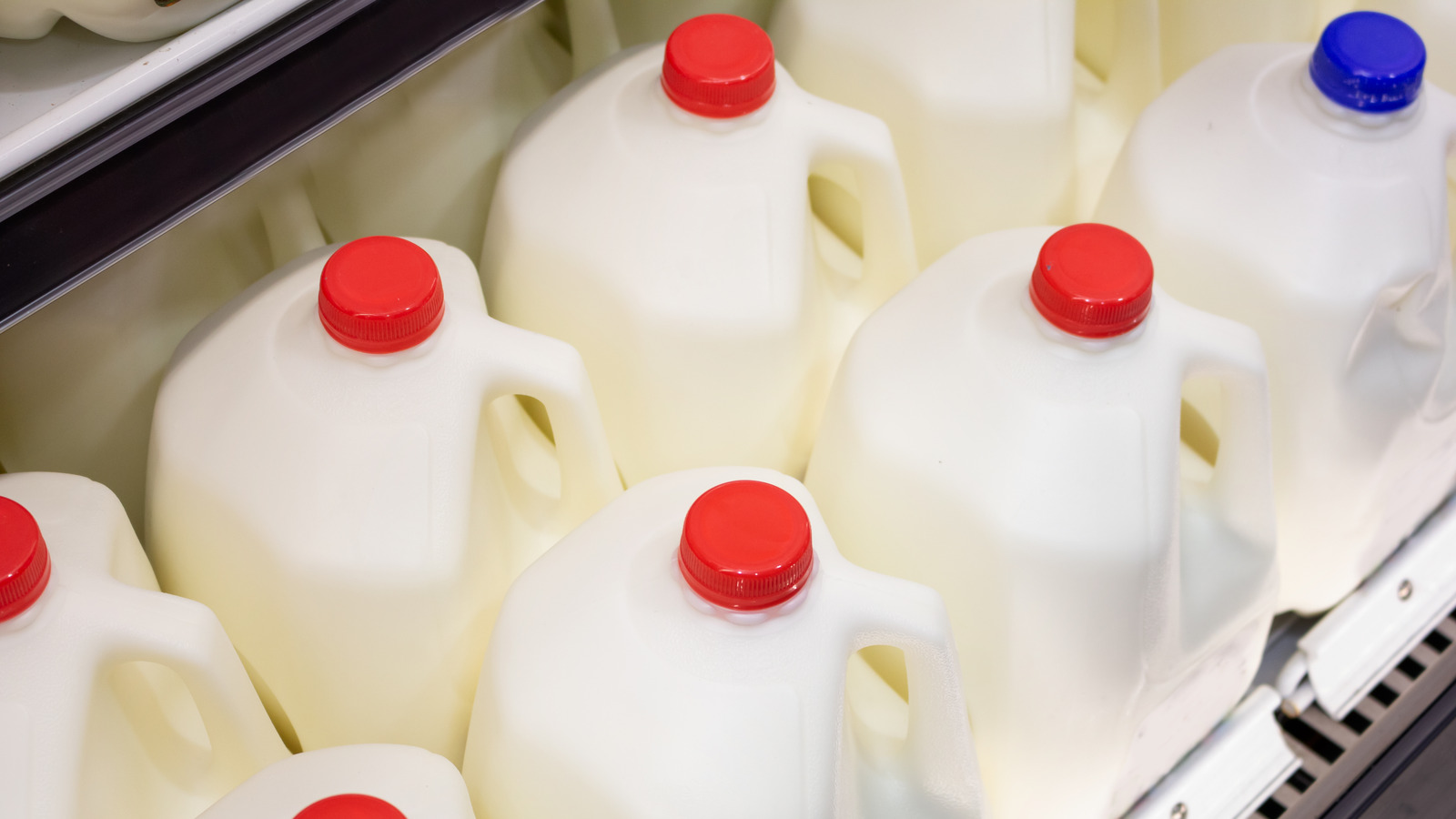 人気の牛乳ブランドを最悪から最高までランキング