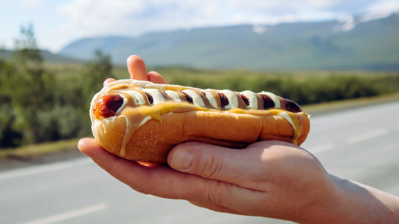 アイスランドのホットドッグを象徴的にするトッピング